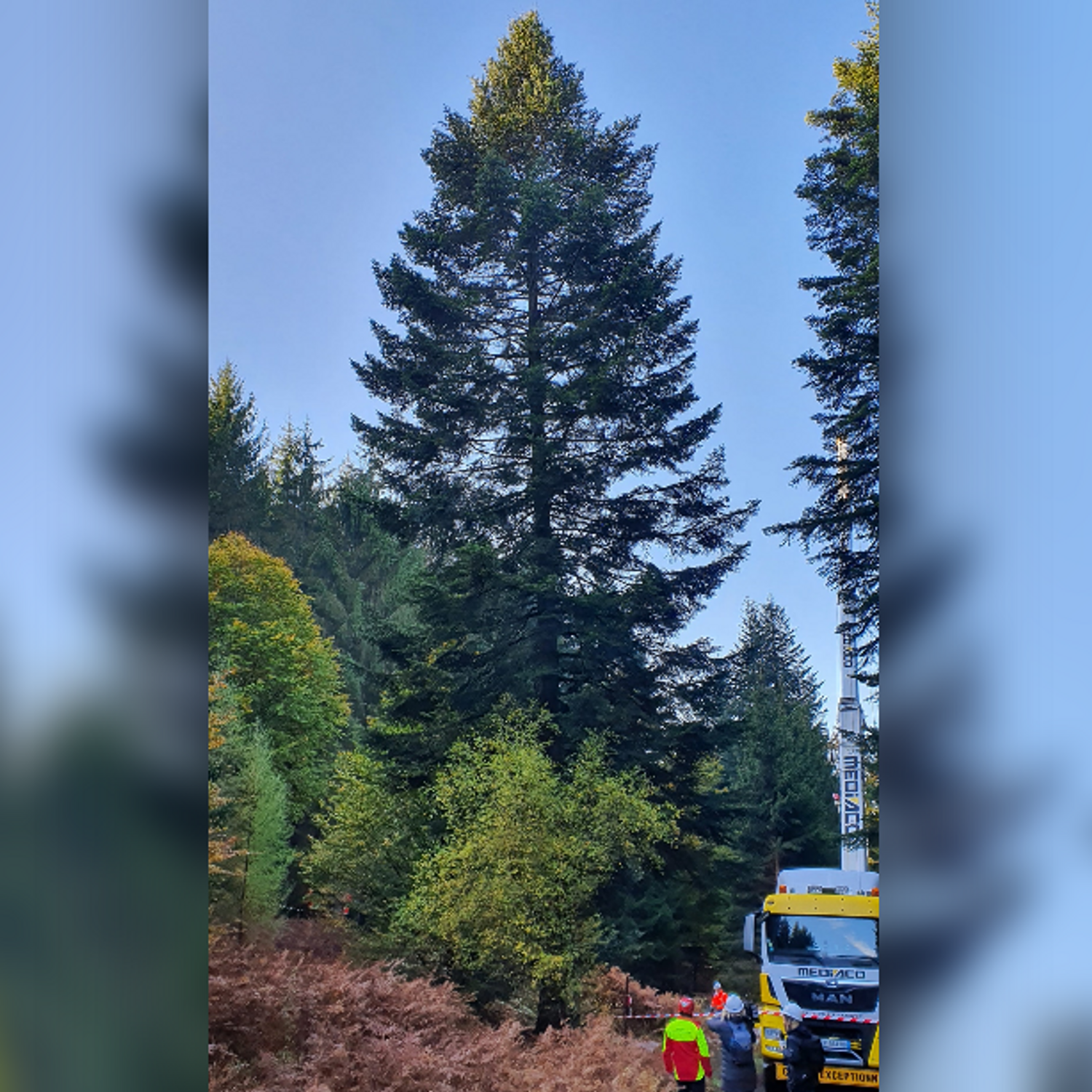 sapin Noël Strasbourg 2021